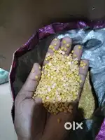 150 kg wala toor daal only 100 rs kg .me