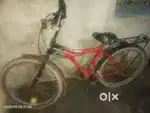 Red and black colour by cycle
