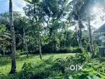 13 Cent Road side Residential Plot for Sale in karthikapally.