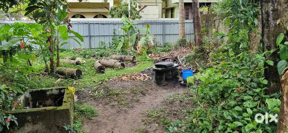 07  CENTS PLOT WITH ACCESS TO MAIN ROAD