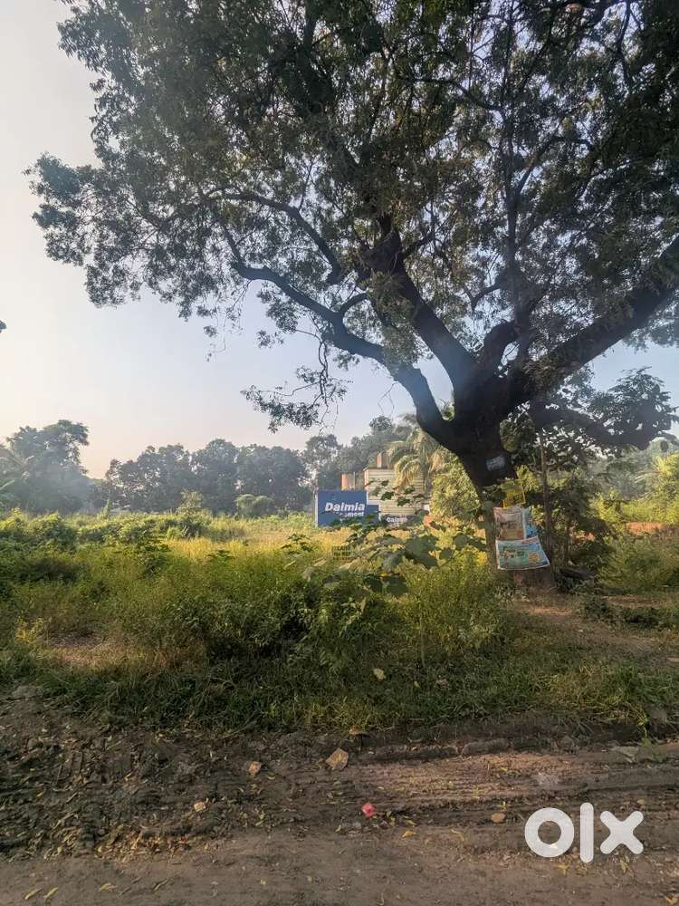 For rent 6000 sqfeet area near NH 55