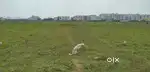 Residential Plot for sale