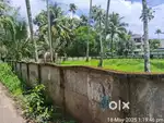 14 cent plot