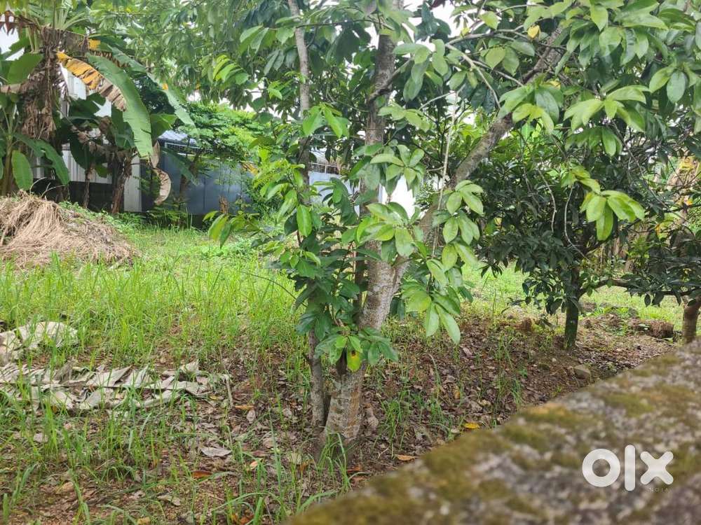 7 Cents of Residential Land in Eroor Puthiya Road.