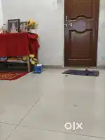 Want roommate