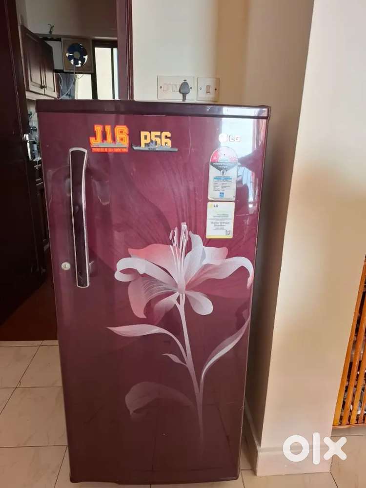LG 190 ltrs Maroon - 5 star Rating