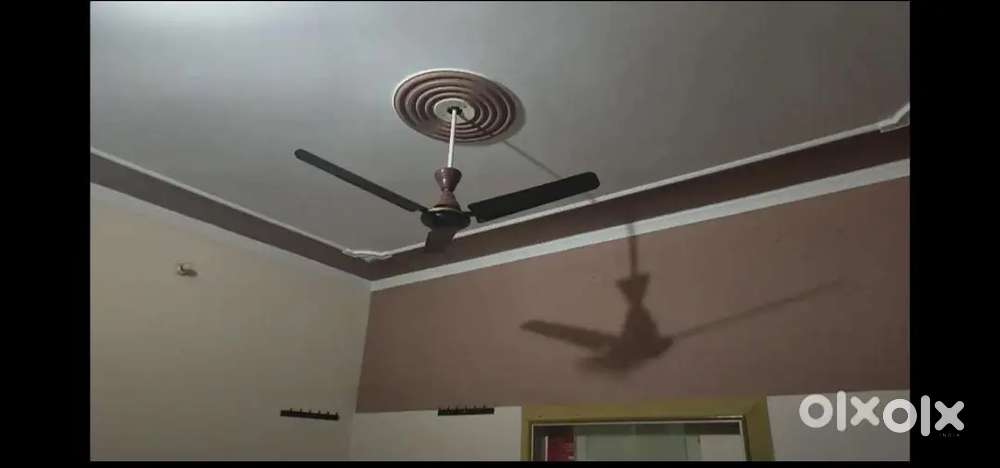 Food is like home. You must try