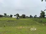 1km from mai utai road