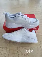 Puma X-Ray 2