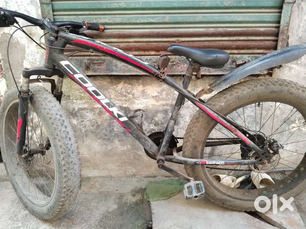 Fat bycycle