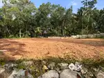 കാട്ടക്കട 5 to 10 cents plots.. 800 mtr from കാട്ടകട ജംഗ്ഷൻ