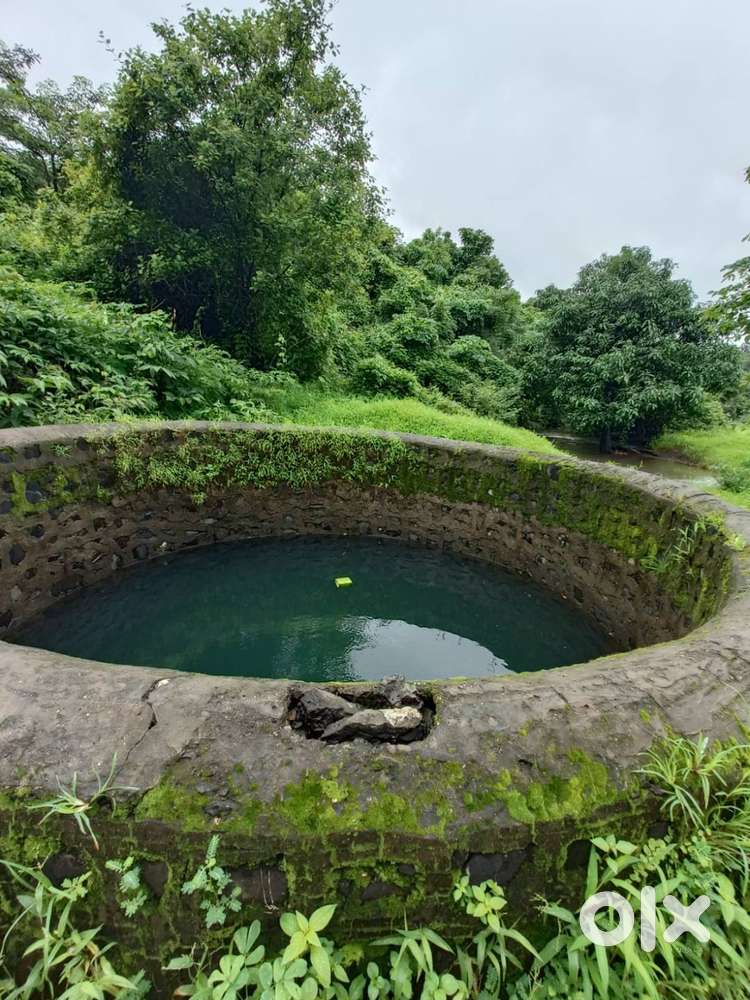 Road Touch Agriculture Land Sale in Mangaon Nizampur Road