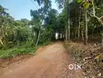 Fertile land for sale in Mamoodu