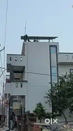 1 bhk from rental