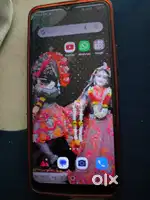 New jaysa hay