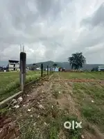 Plot for sale Amwala