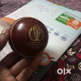 cricket ball real ICC wcup match day ball