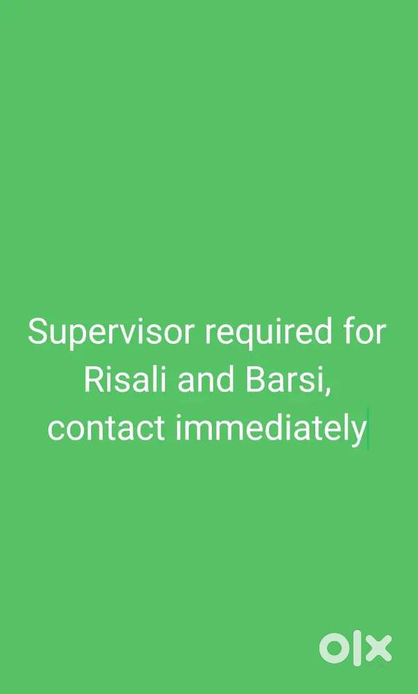 Construction Site supervisor