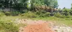 6.5 CENTS HOUSE PLOT FOR SALE@ CHARUMOODU, SREEKARIYAM