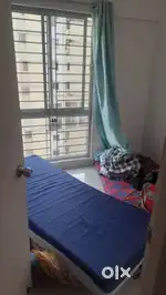 Looking for male flatmates in Shapoorji