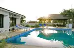 Urgently sale my farmland for making your beautiful farmhouse