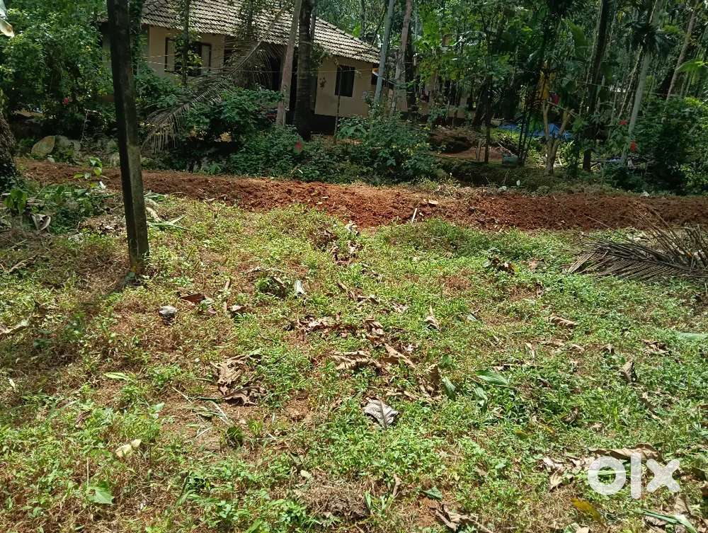 23 cent land for sale at ulliyeri 19