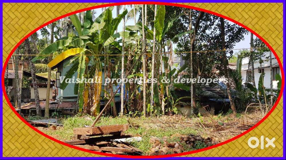 8 cents Residential/Commercial Plot for sale in near Mankkavu