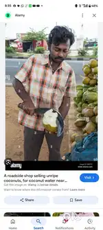 Tender coconut cutting. (ಎಳನೀರು )