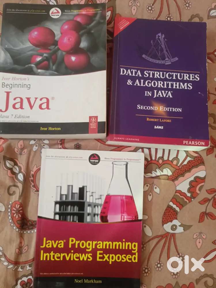 Beginning Java  DSA  Interview
