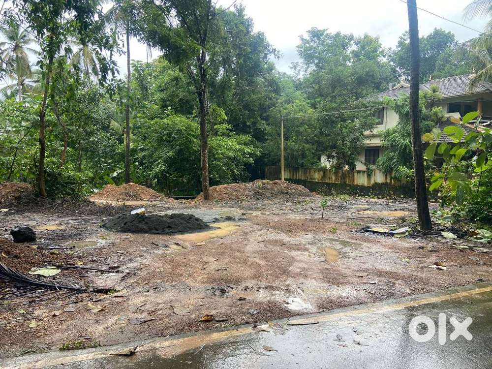 Nilambur 11.5 Cent Land Plot for Sale