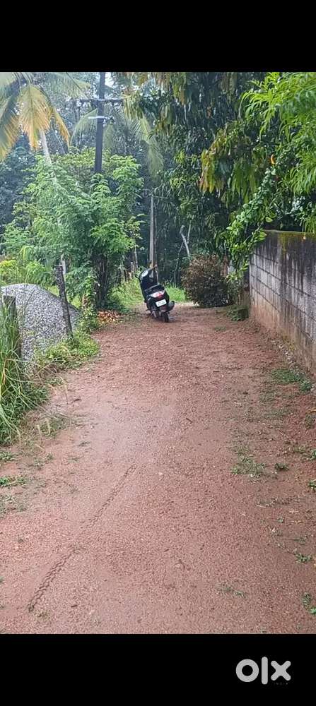 Property for Sale In Nedumangad