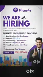 Business development executive
