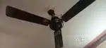 Ceiling fan