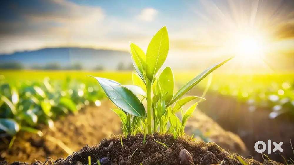 Agriculture Department Kanpur UP