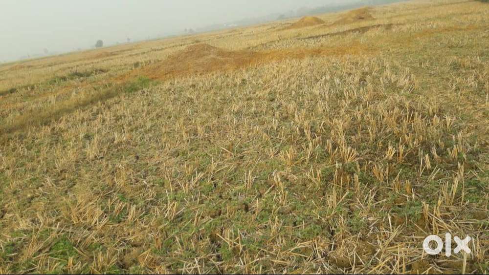 Land for sale in Purushotapuram, Sarbujili, Srikakulam