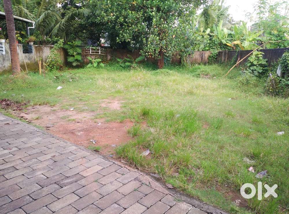 Aluva Ashokapuram 5 cent original land carmel hospital 500mtr