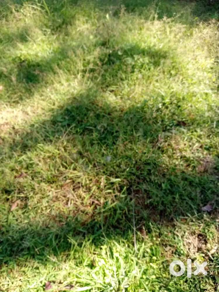 3.5 gonda jayga bikri hobe