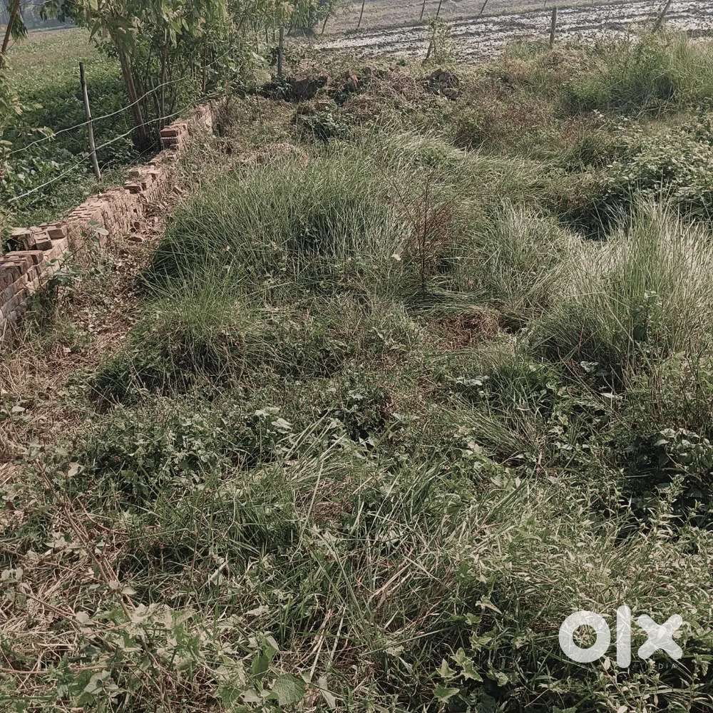 Kumhra road bareilly