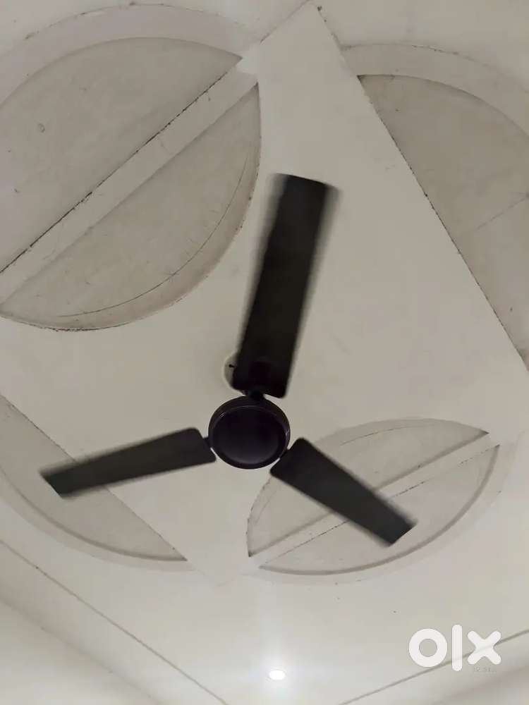 RR 1300mm Fan ceiling