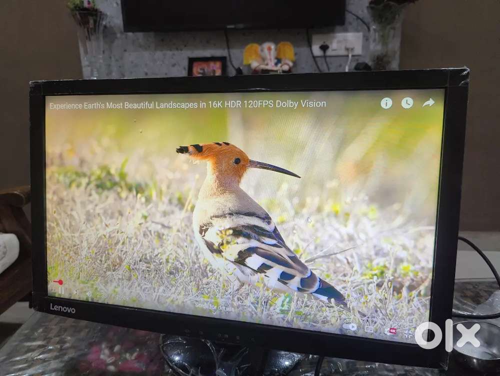 Lenovo 24 inch Monitor Slim Warranty