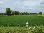 1 acre 30 gunta land for sale