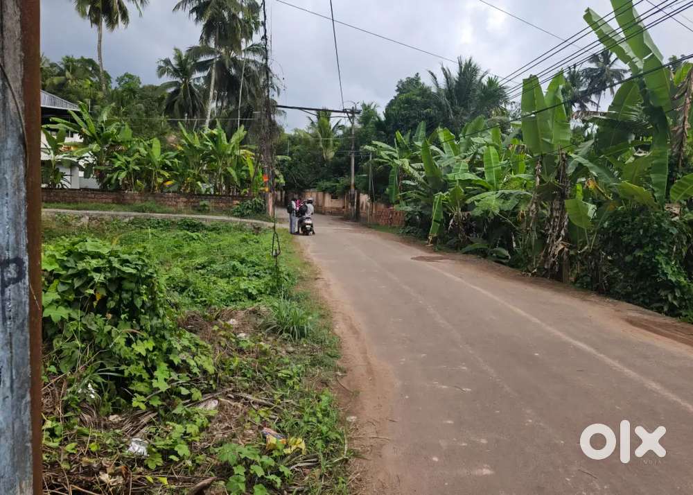 4 CENT HOUSE PLOT WITH 4 FEET PATHWAY - VAIDIARUPEEDIKA - 185000/-