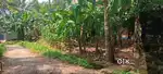 15cent plot facing vellayani lake & 15cent in residential area