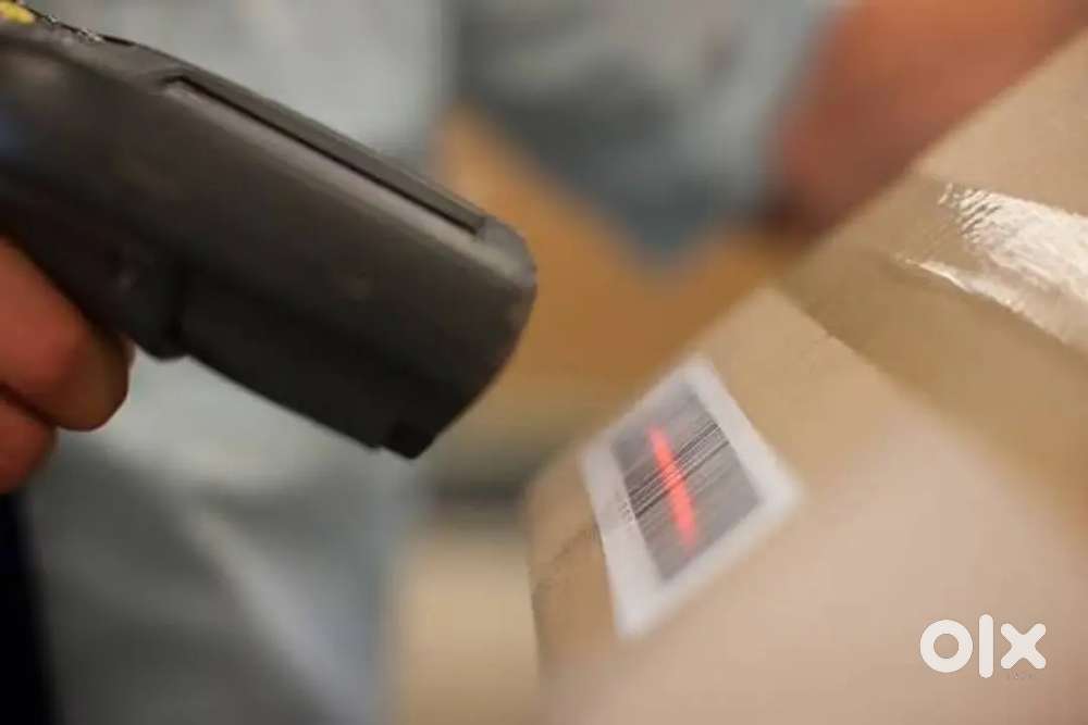 Wanted m/f warehouse packing staffs &gt;night / day