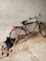 Mv k़छमददयदंय त़मरऱथम