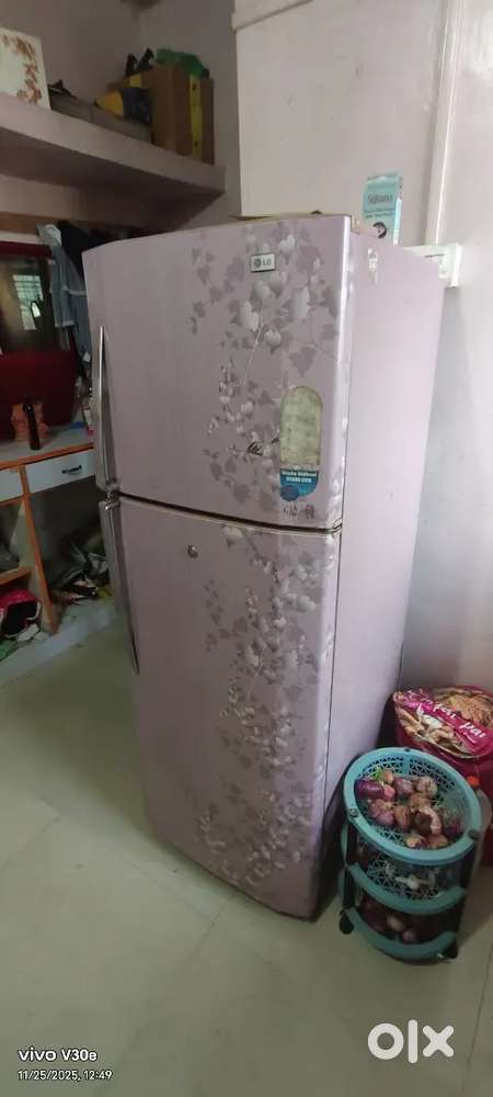 Fridges  double door