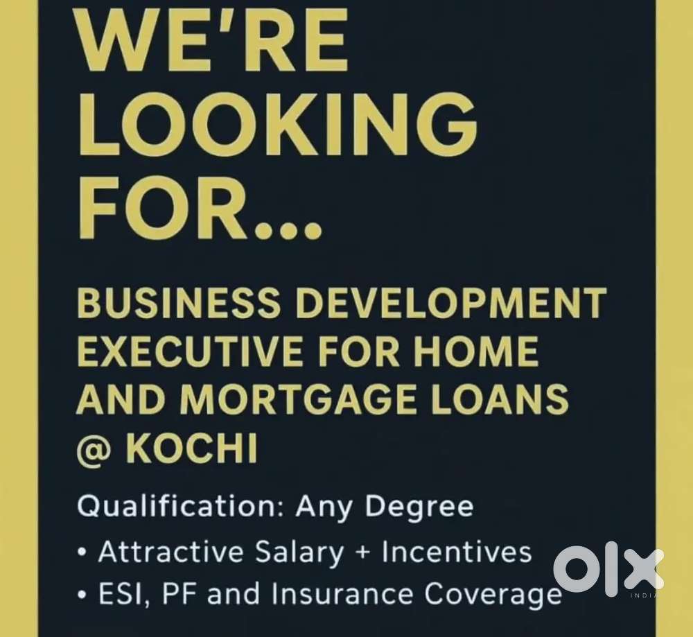 Loan Sales Executive