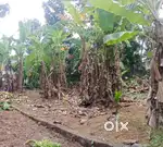 5 cent plot for 1050000