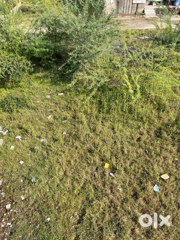 Just near road good area  electricity,null,and all are near plot