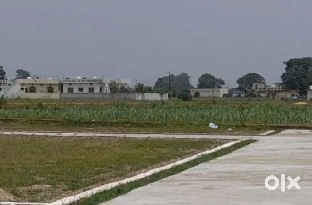 Small size  plot 20 feet Road Plot Sale Garhwali Colony Kheri Doiwala